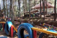Hutan Pinus Gong Silegi Hutan Pinus Gong Silegi