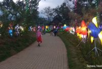 Tiket Masuk Taman Bunga Celosia Bandungan