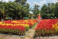 Tiket Masuk Taman Bunga Puspa Naura