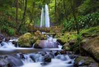 Tiket Masuk Air Terjun Jumog 2019