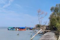 Hutan Mangrove Morosari Demak
