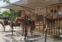 Jogja Horse and Resto