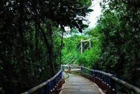 Tiket Masuk Hutan mangerove Wana Tirta