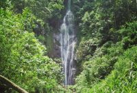 Curug Citro Arum Kendal