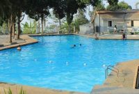 Promas Greenland Kendal