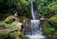 Tiket Air Terjun Parang Ijo