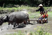 Tiket Kampung Dolanan Sidowayah