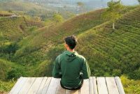 Tiket Masuk Kebun Teh Kemuning