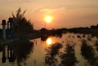 Harga Tiket Masuk Hutan Mangrove Pekalongan