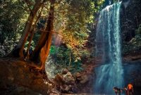 Air Terjun Widuri Tawangharjo