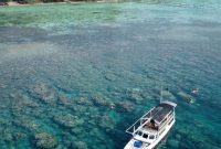 Pulau Menjangan Kecil Karimunjawa