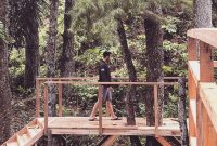 Pijar Park Kudus, Wisata Hutan Pinus Masak Kaya Gini!