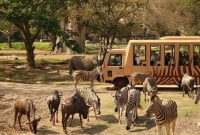 Wisata Ala Afrika di Bali