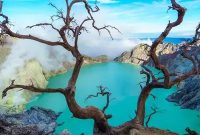 Wisata Hits Jatim